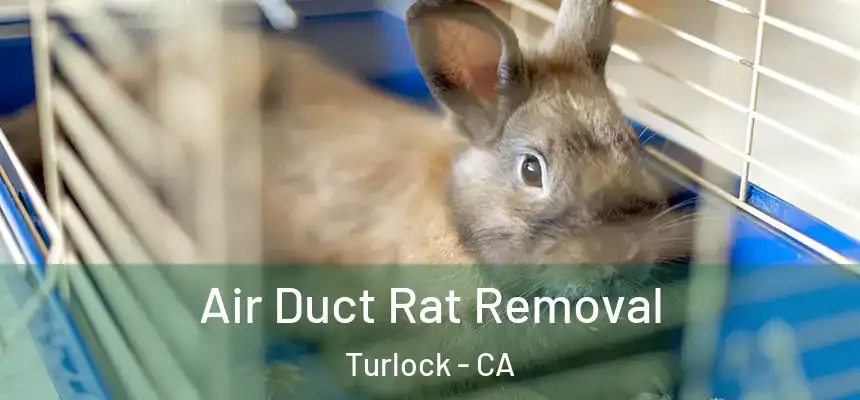 Air Duct Rat Removal Turlock - CA