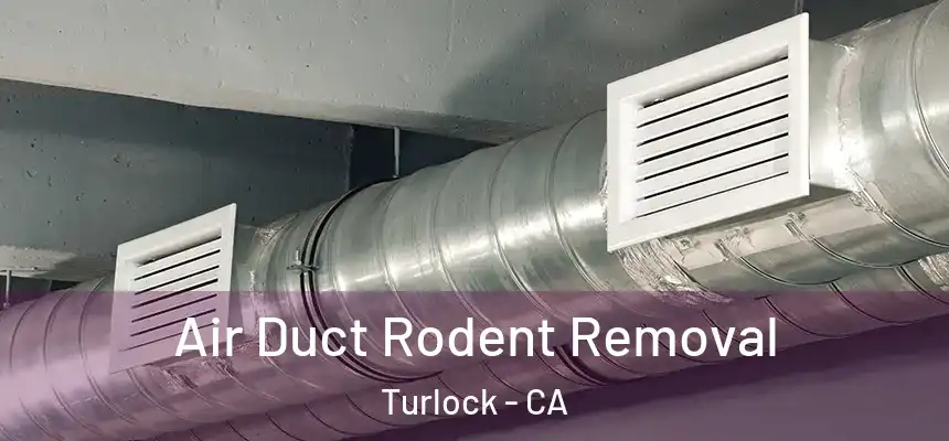Air Duct Rodent Removal Turlock - CA