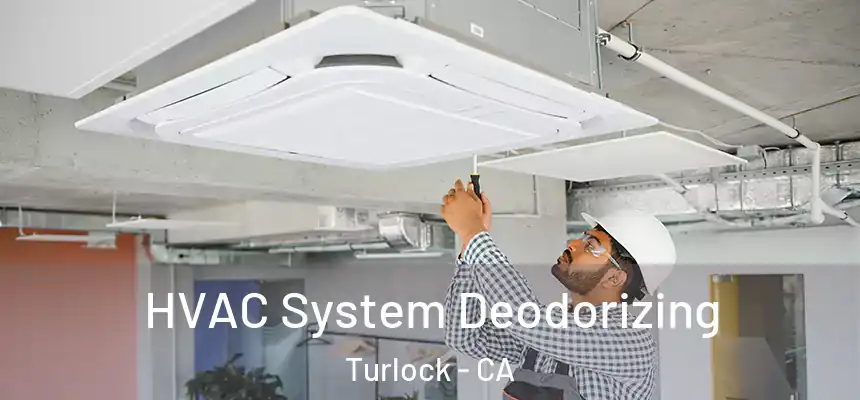 HVAC System Deodorizing Turlock - CA