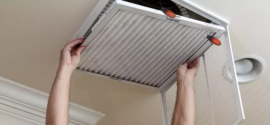 Preventive Cockroach-Proofing for Ducts in Turlock