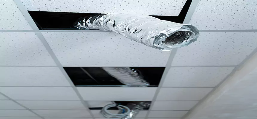 Our Air Duct Pet Hair Removal Services in Turlock, CA