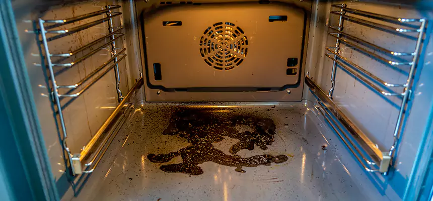 Our Dryer Vent Mold Cleaning Services in Turlock, CA