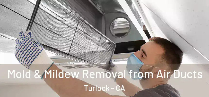 Mold & Mildew Removal from Air Ducts Turlock - CA