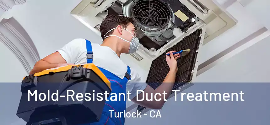 Mold-Resistant Duct Treatment Turlock - CA