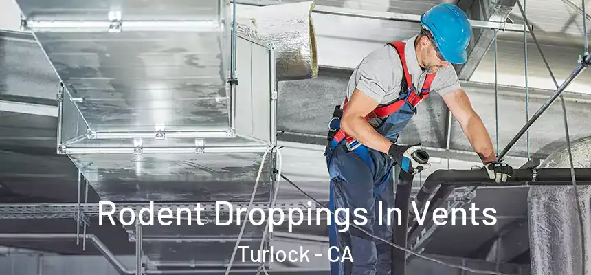 Rodent Droppings In Vents Turlock - CA