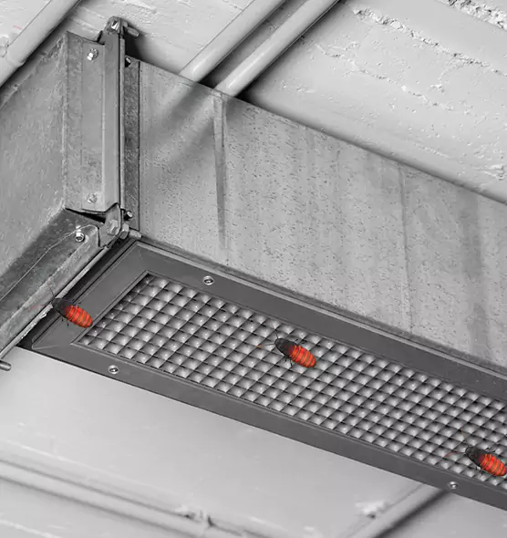 About Air Duct Cockroach Removal in Turlock, CA