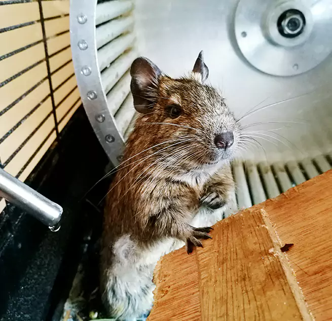 Why Homeowners & Businesses Trust Us Turlock, CA